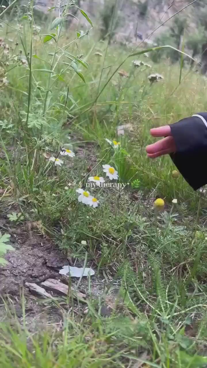 3 Pcs Women's Stitched Silk Plain Night Suit 3 Colours